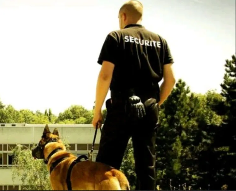 Contrat d'agent de sécurité cynophile à la Toulon, Toulon, Primal SP